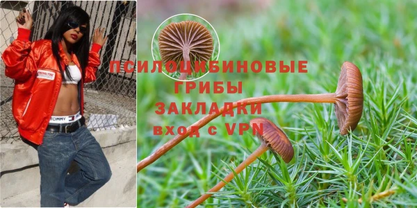 a pvp Белокуриха