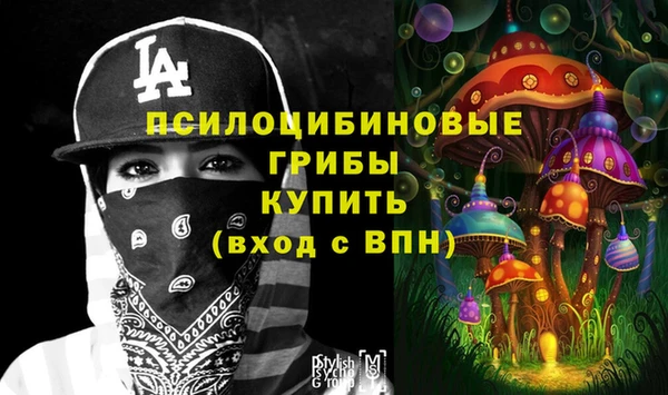 a pvp Белокуриха