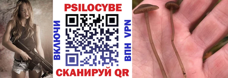 Псилоцибиновые грибы Cubensis  Котово 
